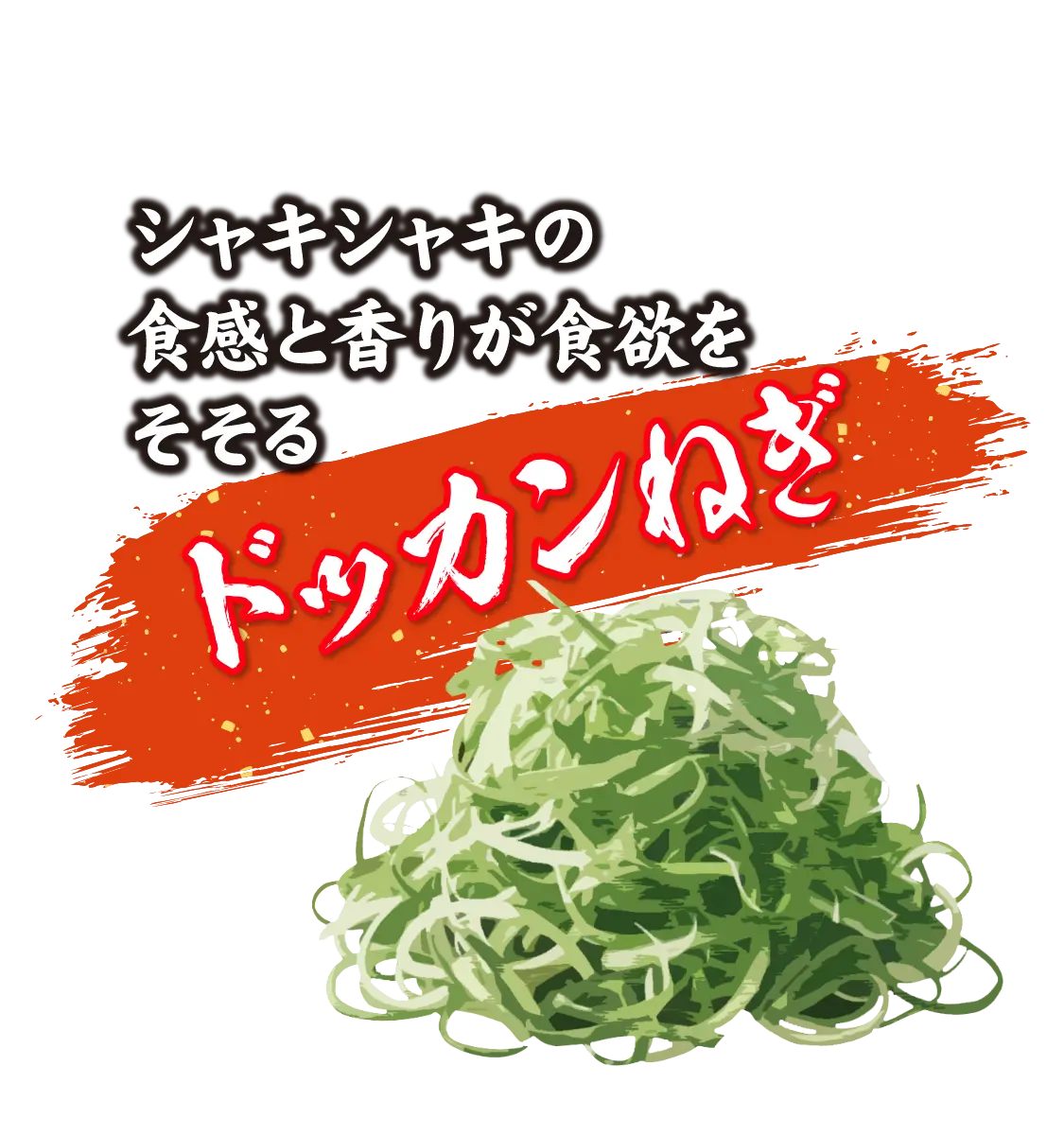 シャキシャキの触感と香りが食欲をそそるドッカンねぎ