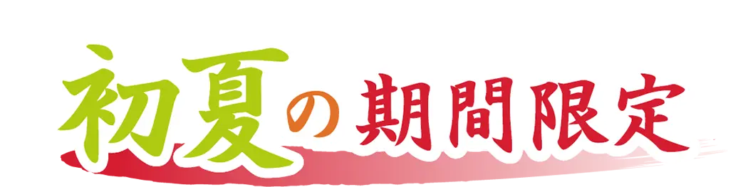 春の期間限定